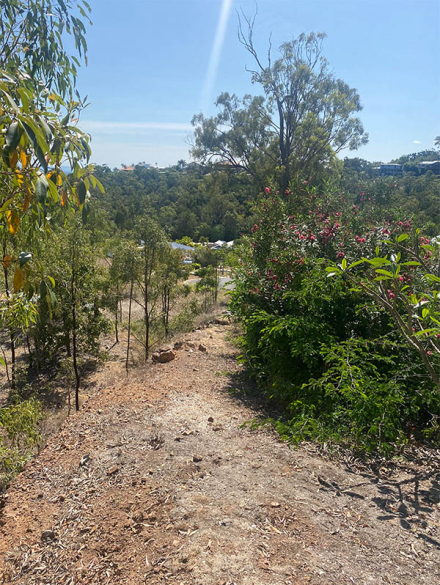 DB images projects vertical 3