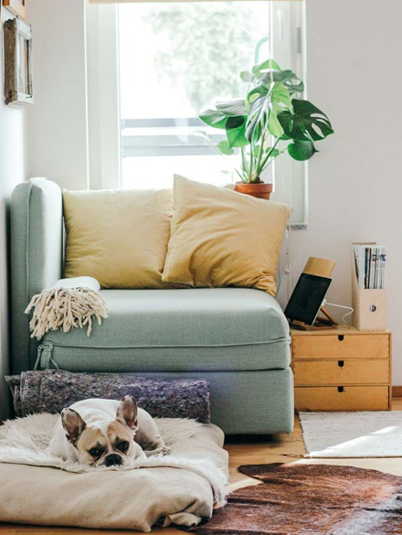 DB images projects vertical 8